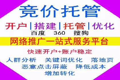 案例解析：SEM托管助力电商销售增长